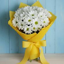 Букет цветов из:  Хризантемы в Приморске Калининградской области