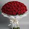 Букет 101 Красная роза Блэк Мэджик в Приморске Калининградской области