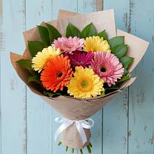 Букет цветов из:  Герберы в Приморске Калининградской области