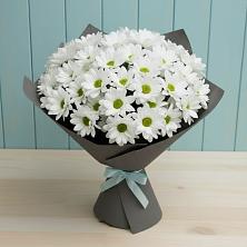 Букет цветов из:  Хризантемы в Приморске Калининградской области