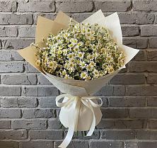 Букет цветов из:  Ромашки #REPLACE_PRED# Приморске Калининградской области