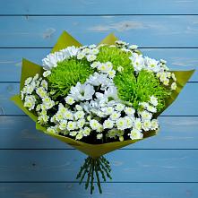 Букет цветов из:  Хризантемы в Приморске Калининградской области