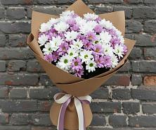 Букет цветов из:  Хризантемы в Приморске Калининградской области