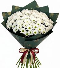 Букет цветов из:  Хризантемы в Приморске Калининградской области