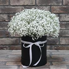 Цветочная композиция из Гипсофила в шляпной коробке в Приморске Калининградской области