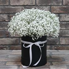 Цветочная композиция из Гипсофила в шляпной коробке в Приморске Калининградской области