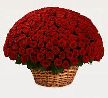 Премиум букет из: Розы в Приморске Калининградской области